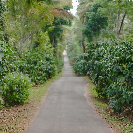 Belvilla The School Estate- Luxury Heritage Home In 200 Acres Madikeri Exterior photo