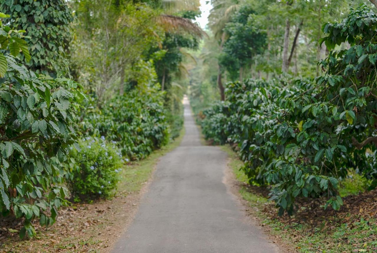 Belvilla The School Estate- Luxury Heritage Home In 200 Acres Madikeri Exterior photo